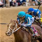 which horse to bet on kentucky derby